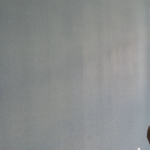 2-комн квартира Пушкин, Саперная улица, 55к2с6