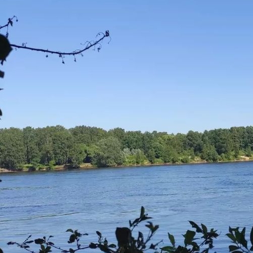 Земельный участок Усть-Славянка тер., улица Заводская