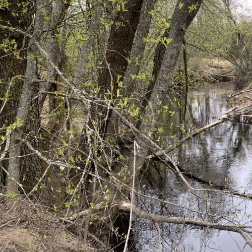 Коттедж/дом д. Шамокша, улица Сельская, 3