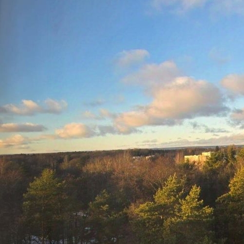 3-комн квартира Сестрорецк, улица Инструментальщиков, 21