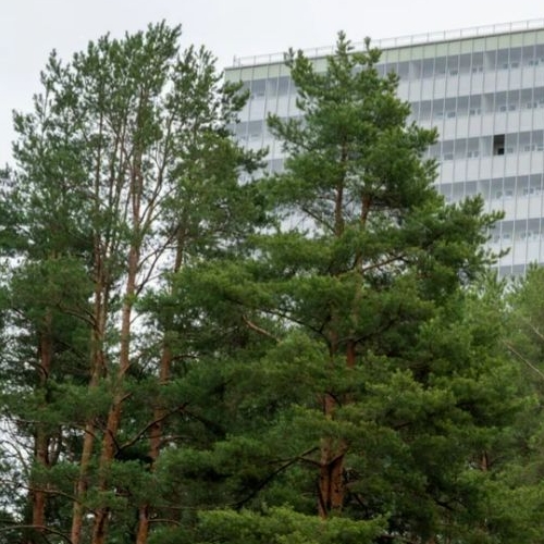 3-комн квартира Кузьмоловский пгт, улица Железнодорожная, 5А