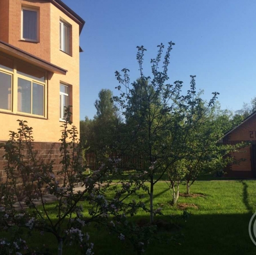 Коттедж/дом Белоостров пос., Белоостров пос.