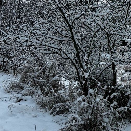 Земельный участок Ульяновка пгт, улица Железнодорожная