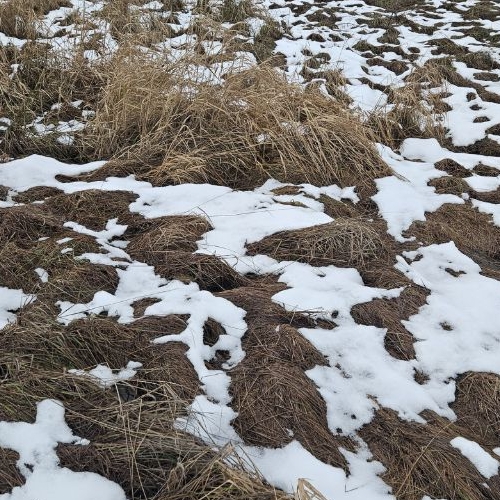 Земельный участок Соржа кп, улица Срединная