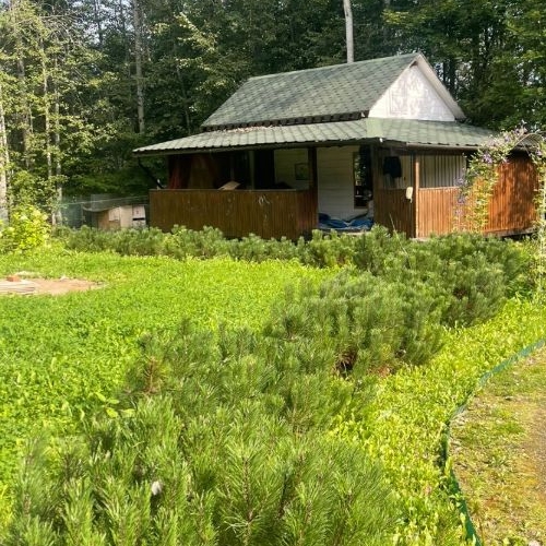 Коттедж/дом Мшинская садоводческий массив, Светоч СНТ