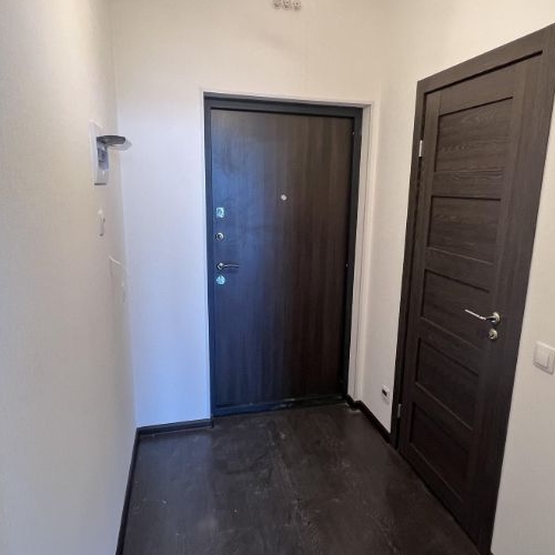 Студия проспект Авиаконструкторов, 69