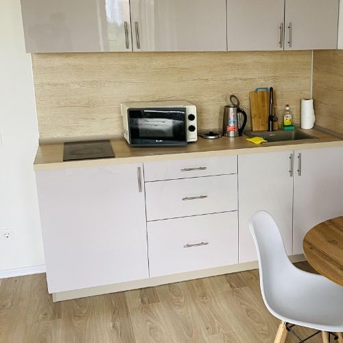 Студия д. Новое Девяткино, улица Главная, 10