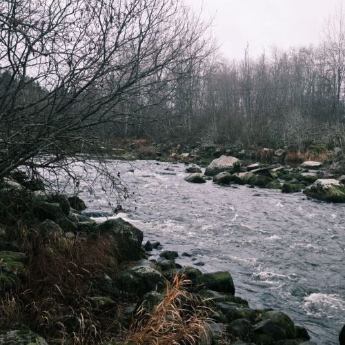 Земельный участок пос. Горы, улица Лесная