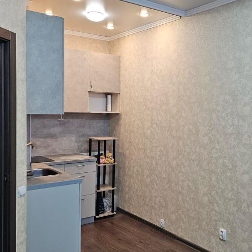 Студия д. Оржицы, 4