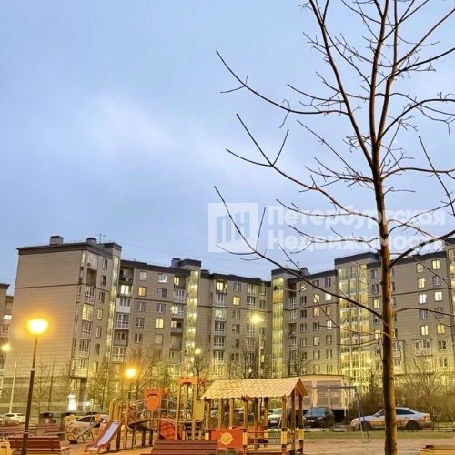 Студия пос. Шушары, Славянка тер., улица Ростовская, 23к1