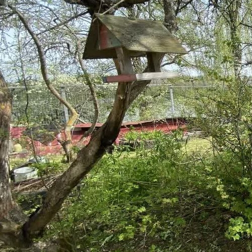 Коттедж/дом пос. Тихорицы, улица Набережная, 6