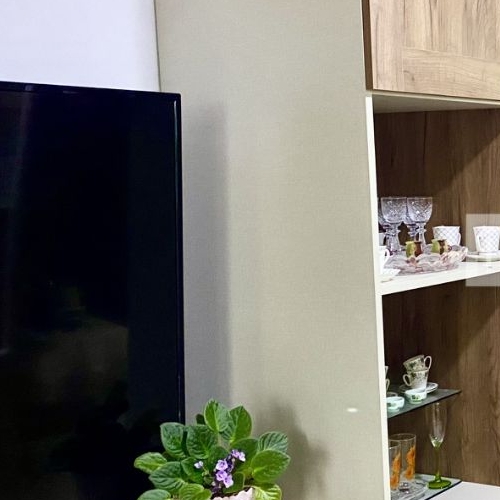 Студия проспект Ветеранов, 204