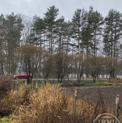 Коттедж/дом Борисово дер.