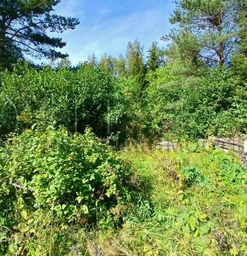 Коттедж/дом Гранит СНТ,  д. 209