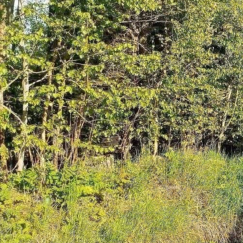 Коттедж/дом Волхов, Строитель-2 СНТ, 100