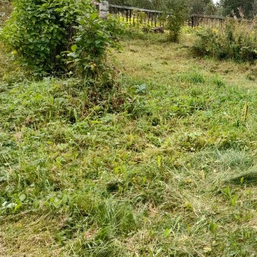 Коттедж/дом д. Мелекса, 16А