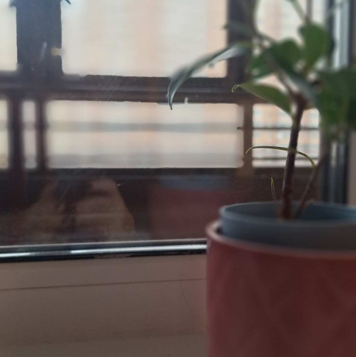 Студия Новая ул., 7, к 4,  д. 4