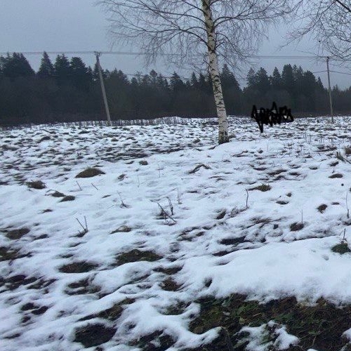 Земельный участок д. Новый Бор, 12