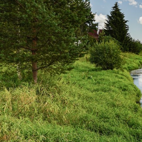 Земельный участок д. Виркино, улица Липовая