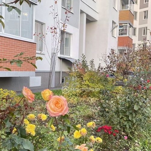 3-комн квартира Петергоф, улица Парковая, 20к2