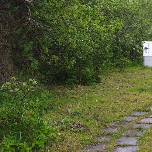 Коттедж/дом пос. Неппово, 2