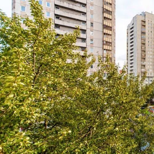 3-комн квартира Парашютная улица, 12