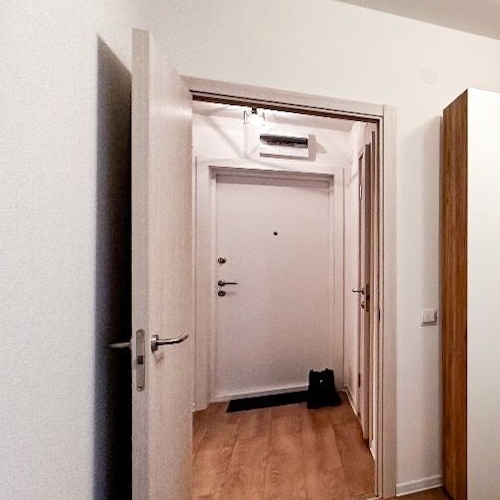 1-комн квартира Новоселье городской поселок, улица Невская, 17к1