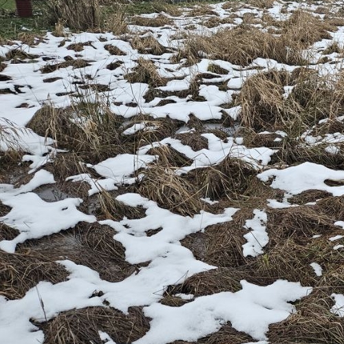 Земельный участок Соржа кп, улица Срединная