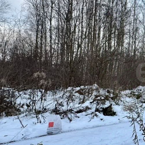 Земельный участок Борисова Грива садоводческий массив, Фурнитура СНТ, 1-я линия