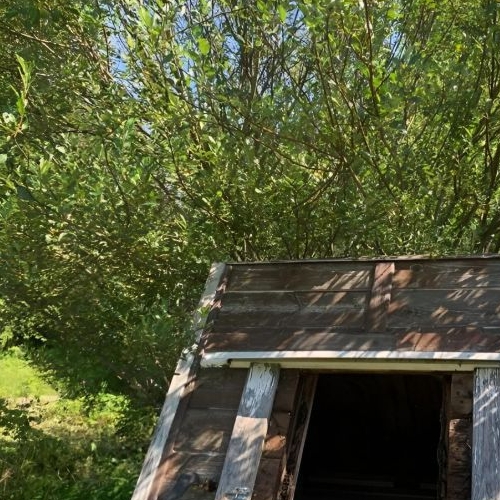 Коттедж/дом Мшинская садоводческий массив, Пролетарец СНТ,  д. 486