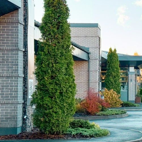 Земельный участок пос. Первомайское, Ручеек-Первомайское СНТ, улица Каштановая