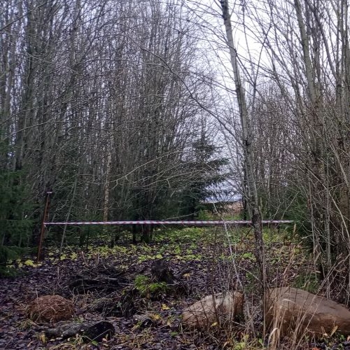 Земельный участок д. Калитино, улица Новодеревенская