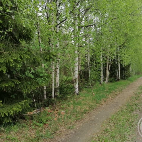 Земельный участок Новое Токсово массив, Юбилейное-ручьи снт