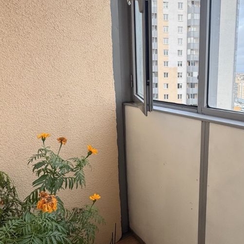 1-комн квартира улица Белышева, 5/6