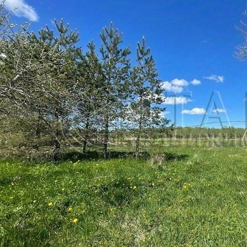 Коттедж/дом д. Большие Сяглицы, 22А