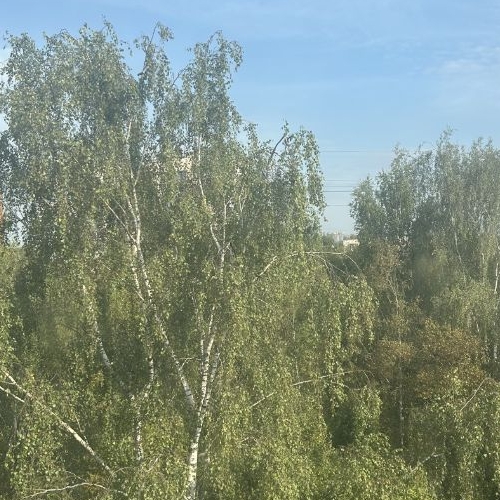 1-комн квартира проспект Науки, 28К3