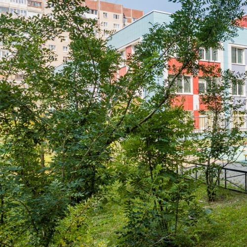 Комната проспект Сизова, 14