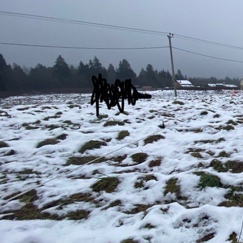 Земельный участок д. Новый Бор, 12