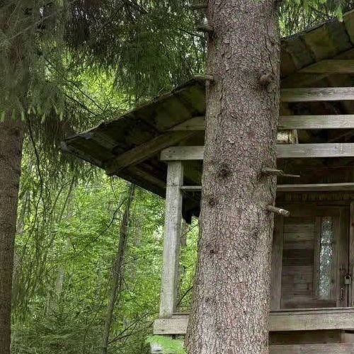 Коттедж/дом Пупышево садоводческий массив, Искра СНТ