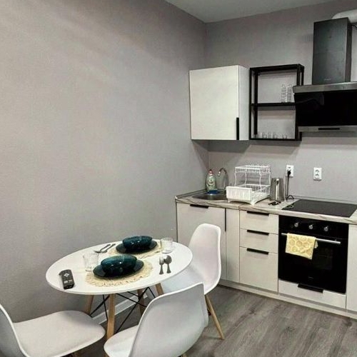 1-комн квартира д. Новосаратовка, улица Первых, 4к1