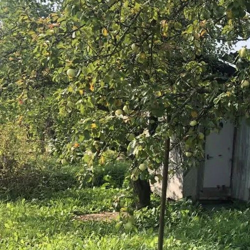 Коттедж/дом Строитель СНТ, улица 19-я, 11