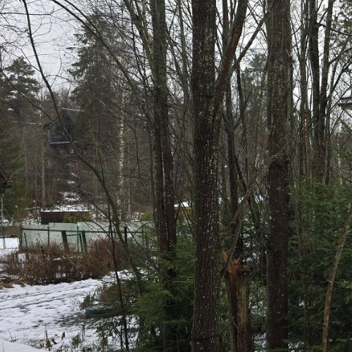 Коттедж/дом Ленинградского оптико-механического объединения-2 СНТ, улица Рихарда Зорге,  д. 273