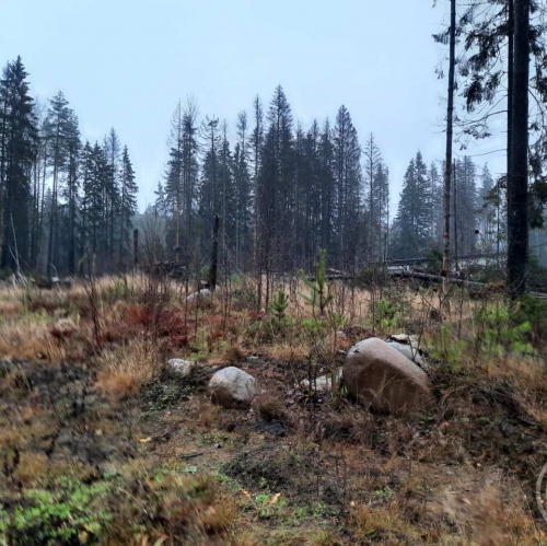 Земельный участок Сертолово г., Медное озеро 3 днп