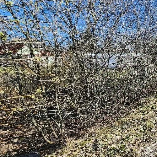 Коттедж/дом Посадников остров садоводческий массив, Меридиан СНТ, 11-я линия, 238