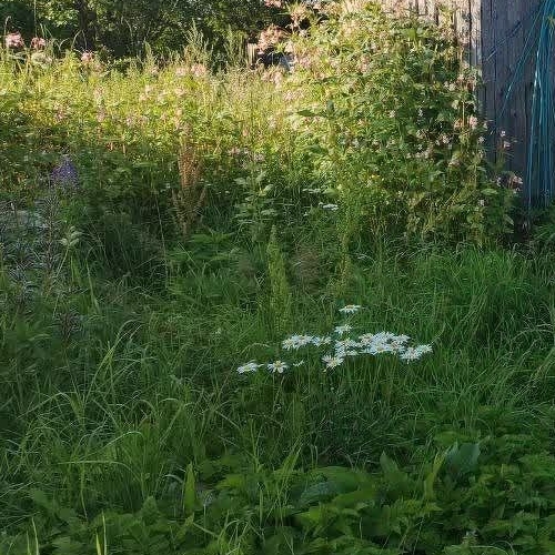 Коттедж/дом д. Березняк, улица Ветеранов, 40