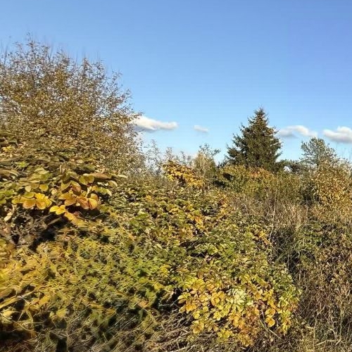 Земельный участок Волжа СНТ, улица 3-я, 14