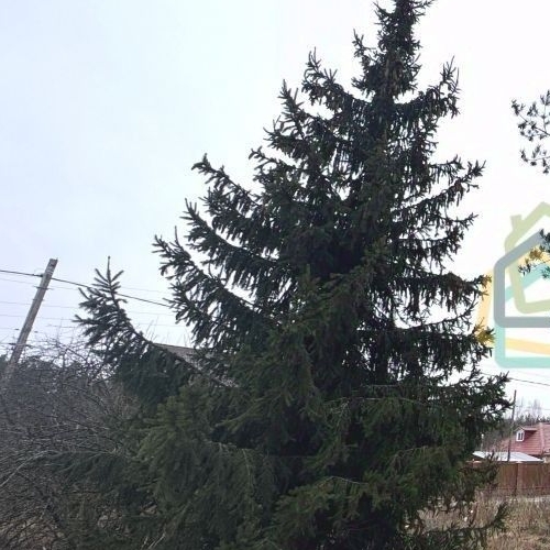 Земельный участок Дубровка пгт, улица Зеленая, 14