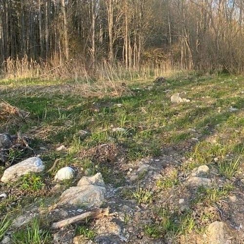 Земельный участок д. Коккорево, улица Коневецкая