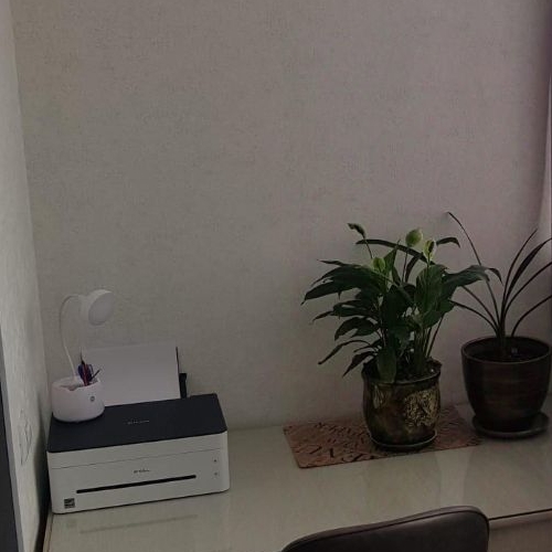 3-комн квартира пос. Шушары, улица Вишерская, 2