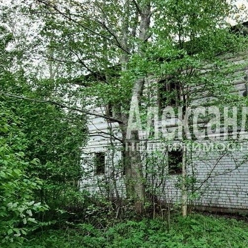 Коттедж/дом пос. Приладожское, улица Гусиная